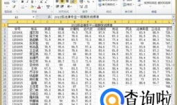 excel中如何统计分数段人数