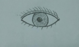 眼睛简笔画怎么画