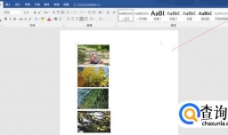 如何在Word中将所有图片批量设置为居中对齐