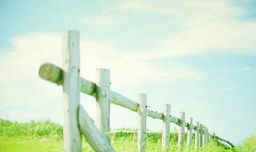 “穷看厅堂，富看厨房”，是什么意思？