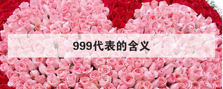 999代表的含义