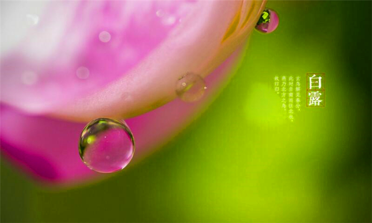 白露是什么季节