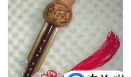 哪些乐器适合孩子学习