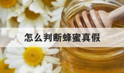 怎么判断蜂蜜真假