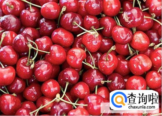 车厘子和樱桃有啥区别吗