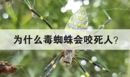 为什么毒蜘蛛会咬死人
