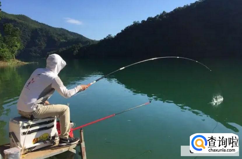 钓鱼半水调漂的正确方法