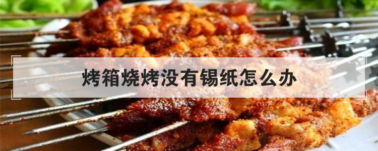 烤箱烧烤没有锡纸怎么办