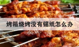 烤箱烧烤没有锡纸怎么办
