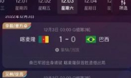 2022卡塔尔世界杯16强赛所有球队名单怎么看