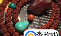 小金刚菩提怎么把玩