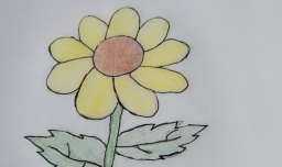 植物简笔画如何画