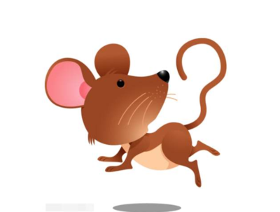 属猴和什么属相最配