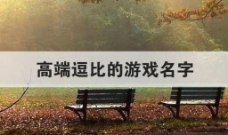 高端逗比的游戏名字