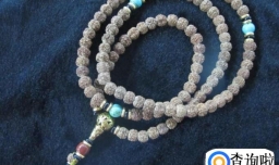 星月菩提怎么玩