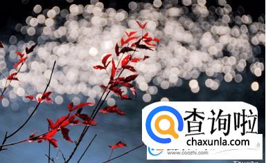 冬至是几月几日