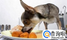 狗狗吃太饱难受了怎么办，狗狗不消化怎么办