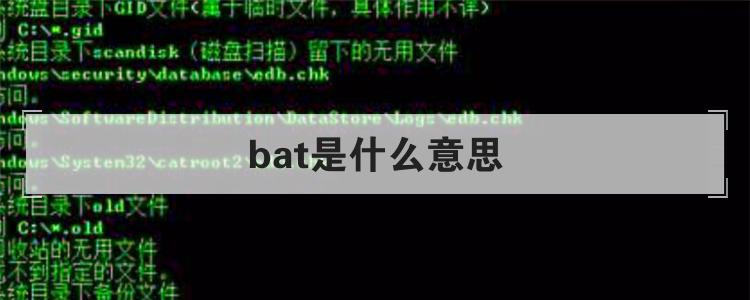bat是什么意思