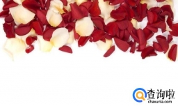 给女朋友送什么礼物好