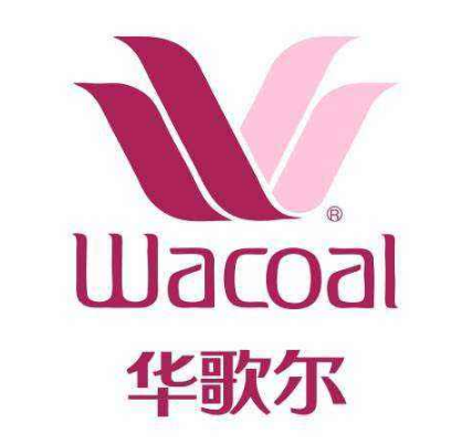 女士内衣品牌排行榜前十名