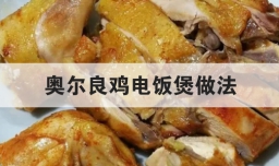 奥尔良鸡电饭煲做法