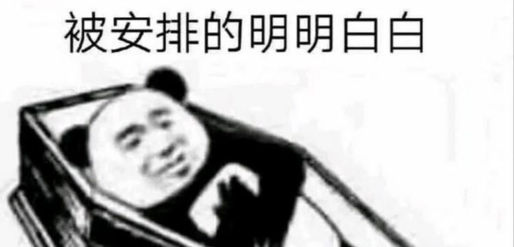 网络用语安排是什么意思