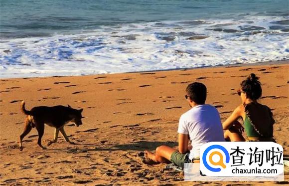 日光浴有好处吗