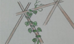 如何画向上爬的藤蔓