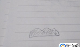 如何画海草简笔画