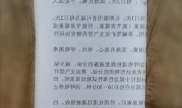 如何轻松折出美丽的圣诞树