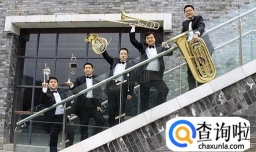 铜管乐“号”的种类