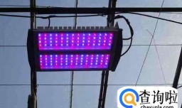 给植物使用专业补光灯有哪些好处？