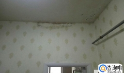 家中返潮出水墙壁渗水怎么处理