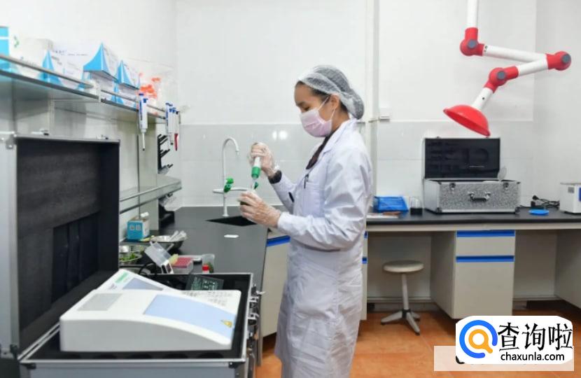 检验师报考年限怎么算