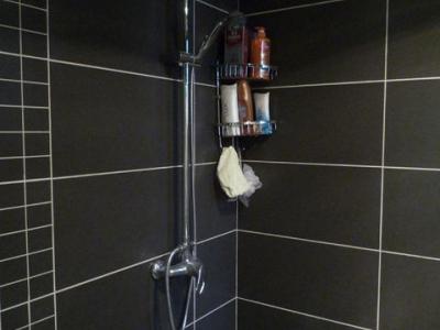 厕所黑色线虫怎么清除