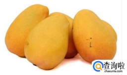 芒果牛奶布丁的做法