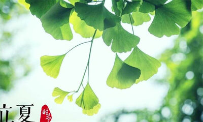 立夏是传统节日吗