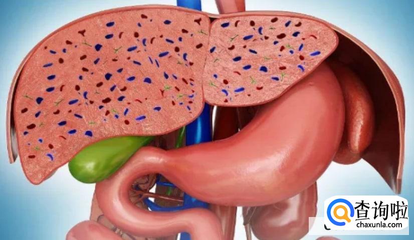 如何治疗肝炎