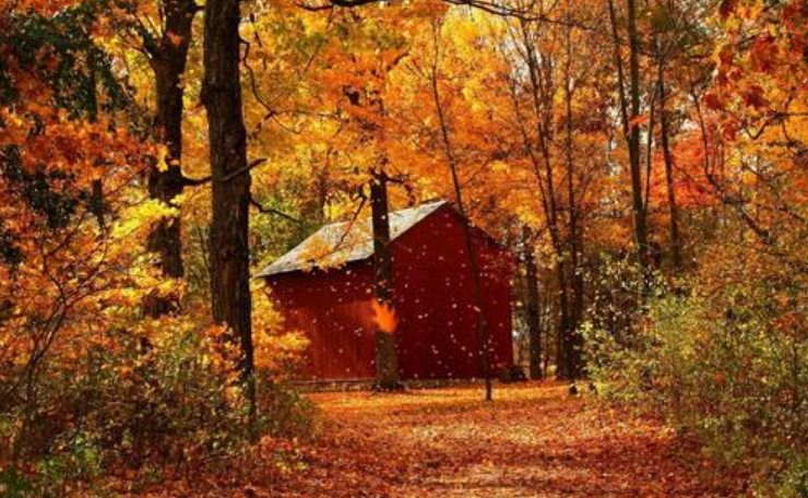 为什么立秋了还那么热