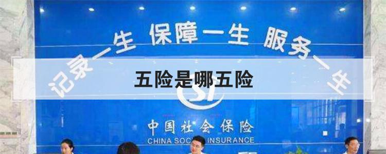五险是哪五险
