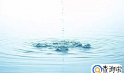 养龟的水有哪些要求