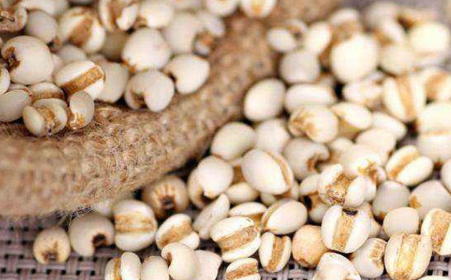 美白食物排行榜10强