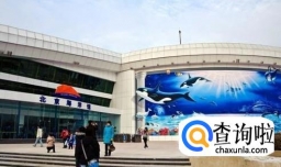 北京海洋馆有什么好玩的？