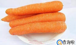 仓鼠的食物是什么