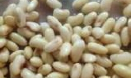 豆浆的做法和配方比例