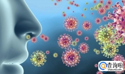 阳了会月经紊乱吗