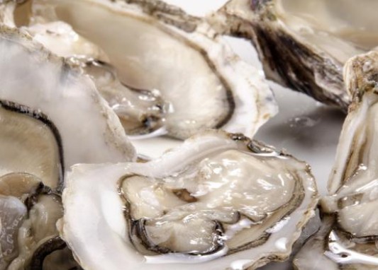 牡蛎和生蚝的区别