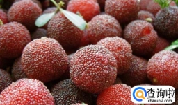 杨梅的贮藏方法