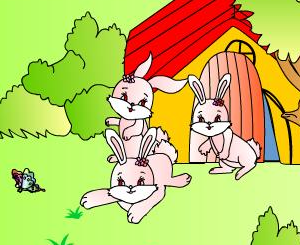 大灰狼的故事主要讲了什么