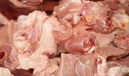 正宗小鸡炖蘑菇的做法